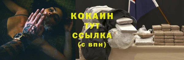 трава Балахна