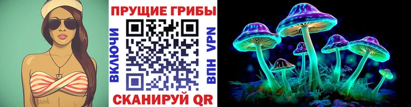 Галлюциногенные грибы Psilocybine cubensis  Купить где  Струнино 
